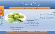 وبینار"جوارشات در داروسازی سنتی"28 دی 1400